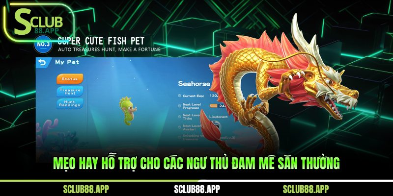 Mẹo hay hỗ trợ cho các ngư thủ đam mê săn thưởng