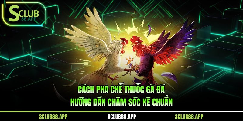 cách pha chế thuốc gà đá